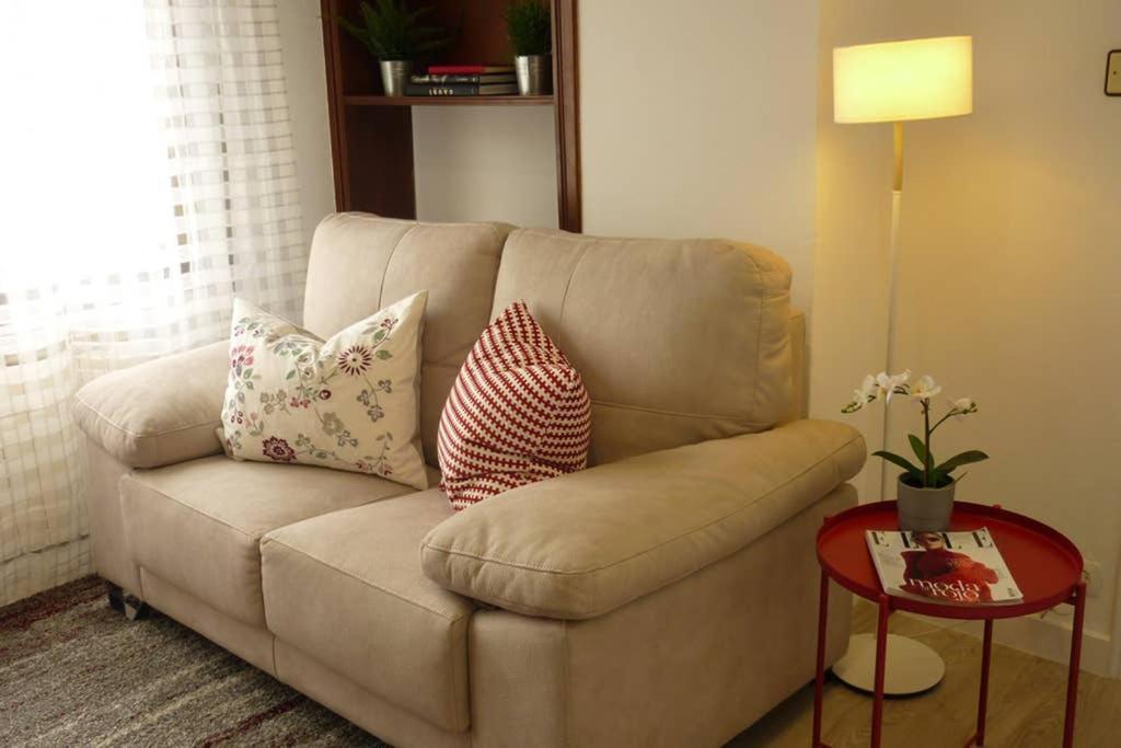 Atico Auditorio Disfrute Sus 40 Metros De Terraza Orientada Al Sur Appartement Oviedo